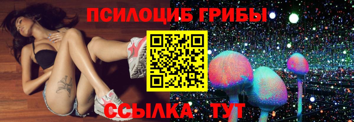 Белово  Галлюциногенные грибы Psilocybe  Вход с VPN 